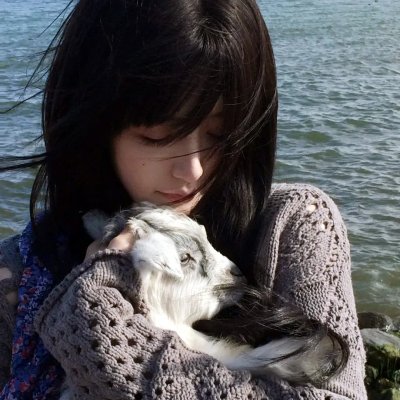 法官老张轶事之审牛记